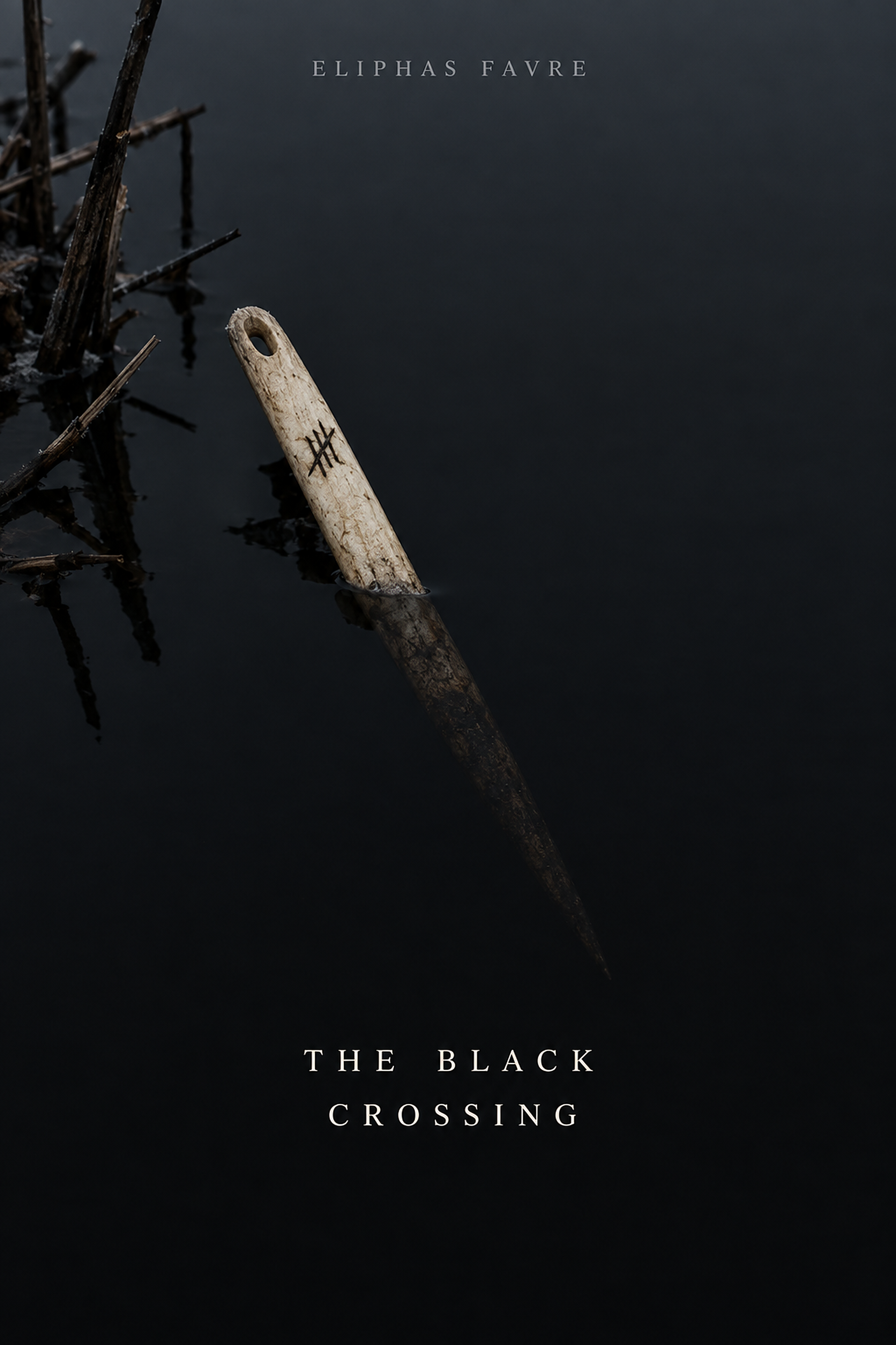 The Black Crossing, by Eliphas Favre: a bone needle with tally marks, half sunk in black water